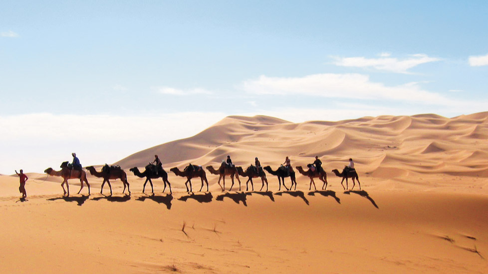 Chleuhs du Maroc ou… d’Allemagne ?