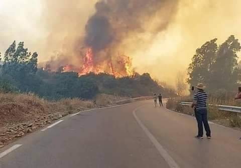 La Kabylie calcinée et détruite ?